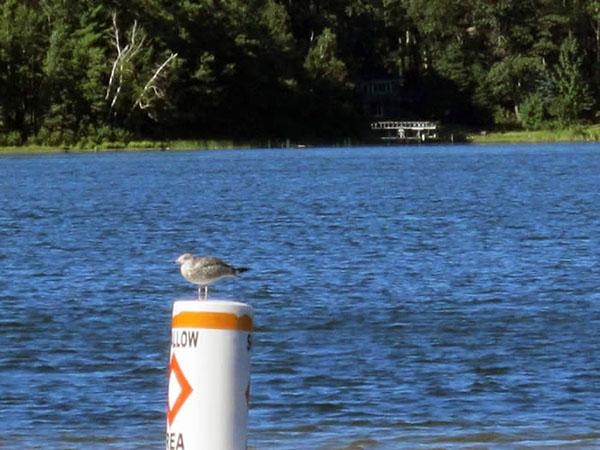 Lake-pic